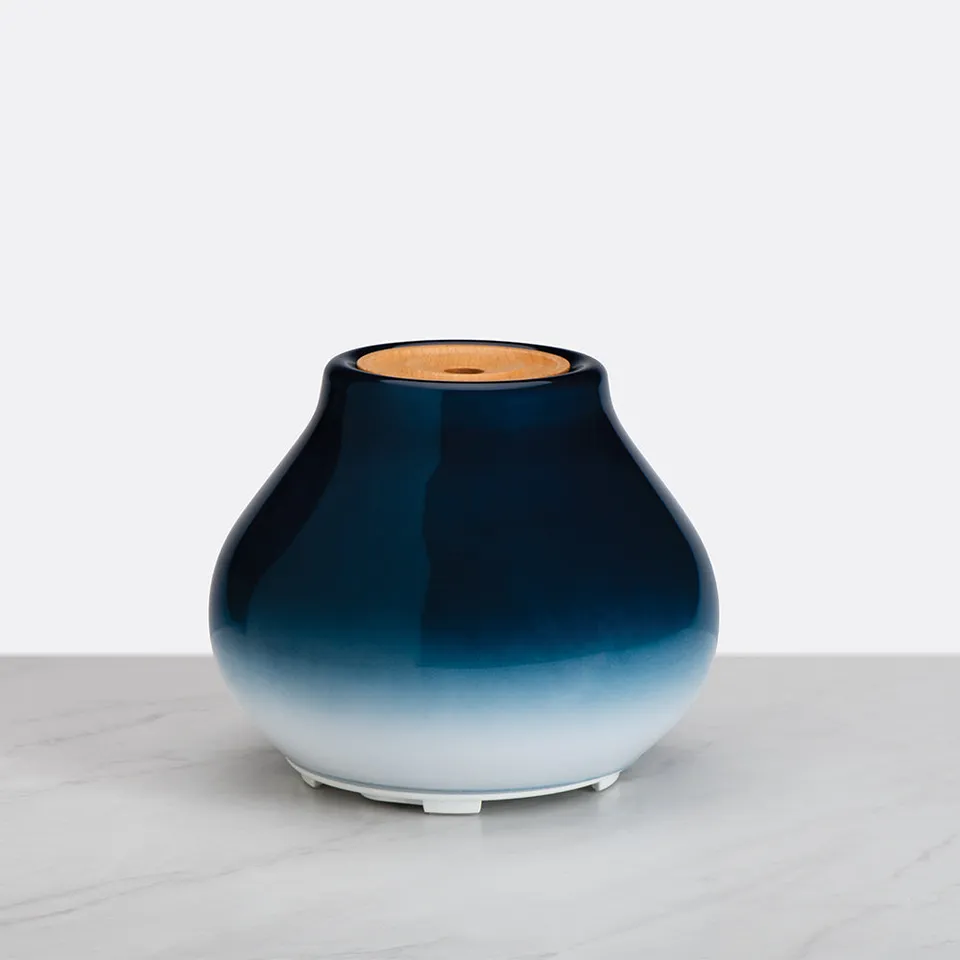 homedics-imagine-cordless-ultrasonic-aroma-diffuser-rechargeable-portable image 1
