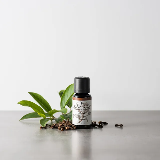 homedics-clove-essential-oil-0-5-fl-oz-ellia image 1