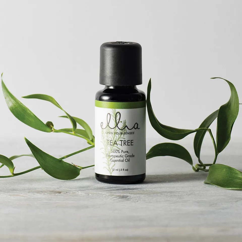 homedics-ellia-tea-tree-essential-oil-0-5-fl-oz-pure-melaleuca-alternifolia image 1
