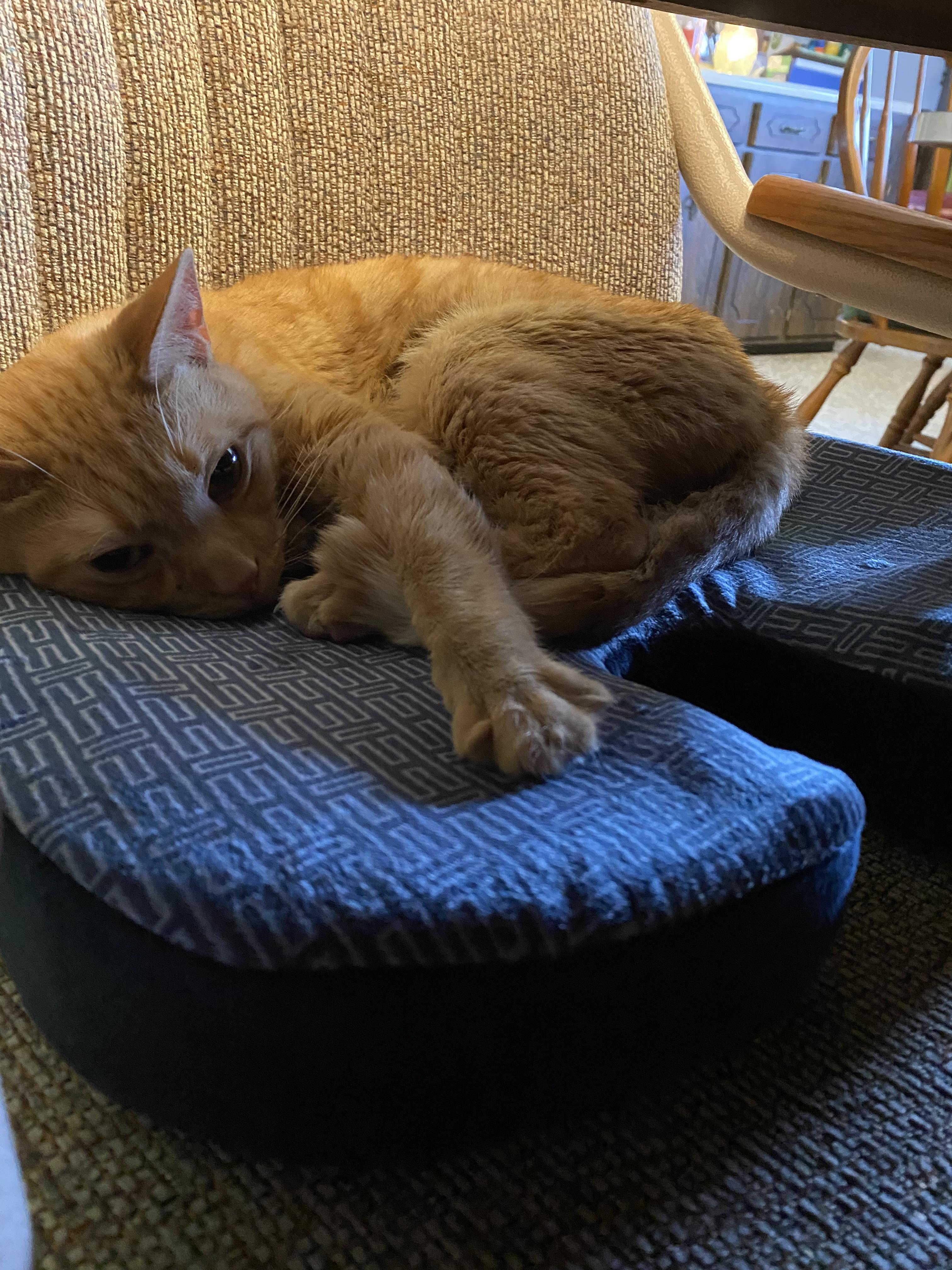 Solid cushion