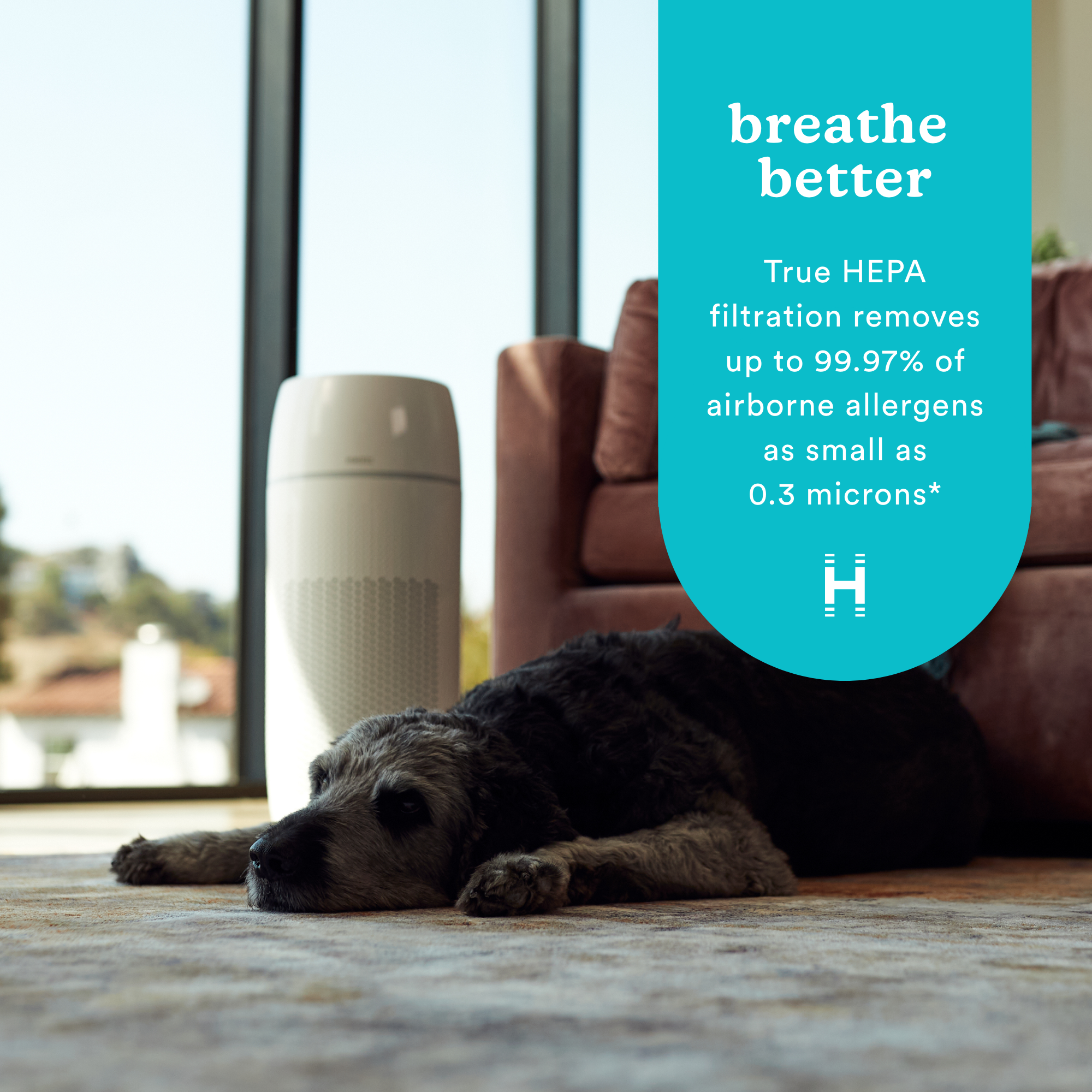 homedics-totalclean-petplus-5-in-1-air-purifier image 3