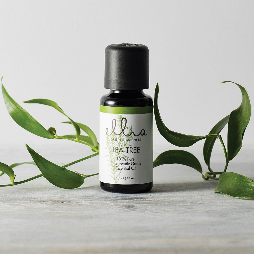 homedics-ellia-tea-tree-essential-oil-0-5-fl-oz-pure-melaleuca-alternifolia image 1