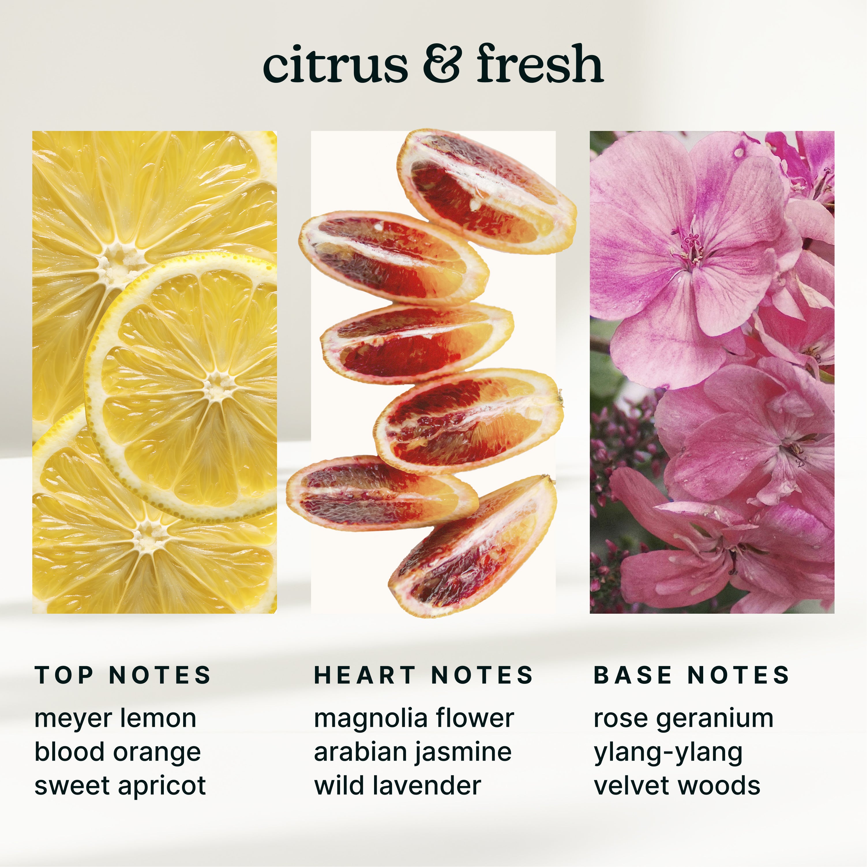 ellia-serenescent-amalfi-bliss-essential-oil image 4