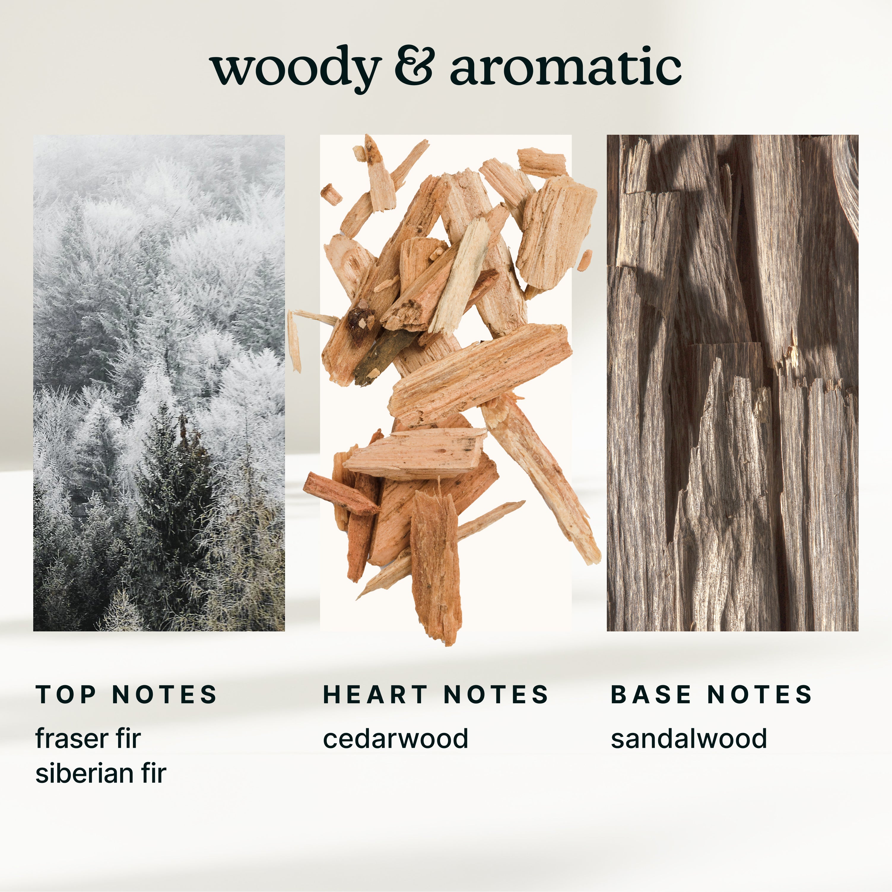 homedics-serenescent-aspen-fir-essential-oil-limited-edition image 4