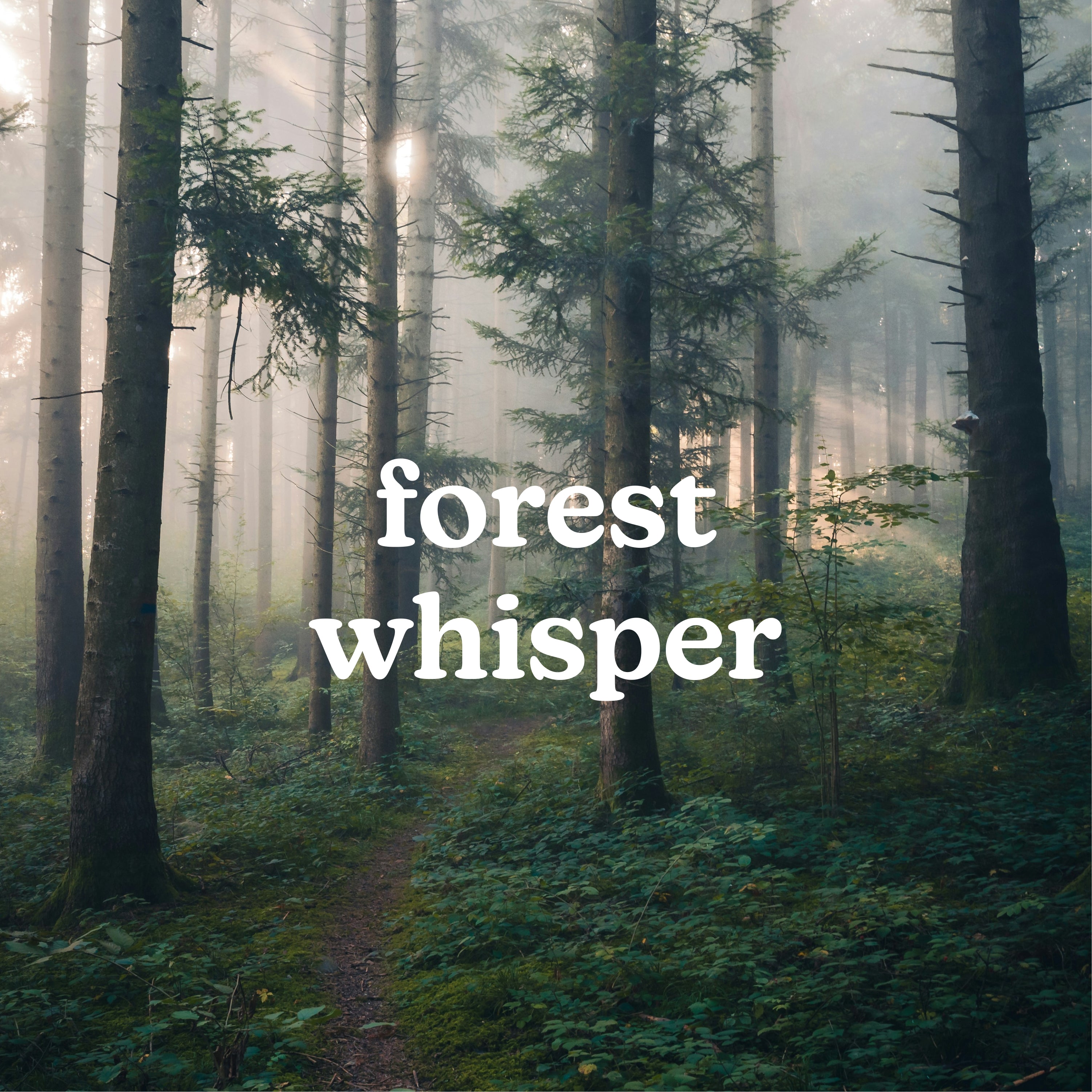 homedics-serenescent-forest-whisper-aromatherapy-blend image 2