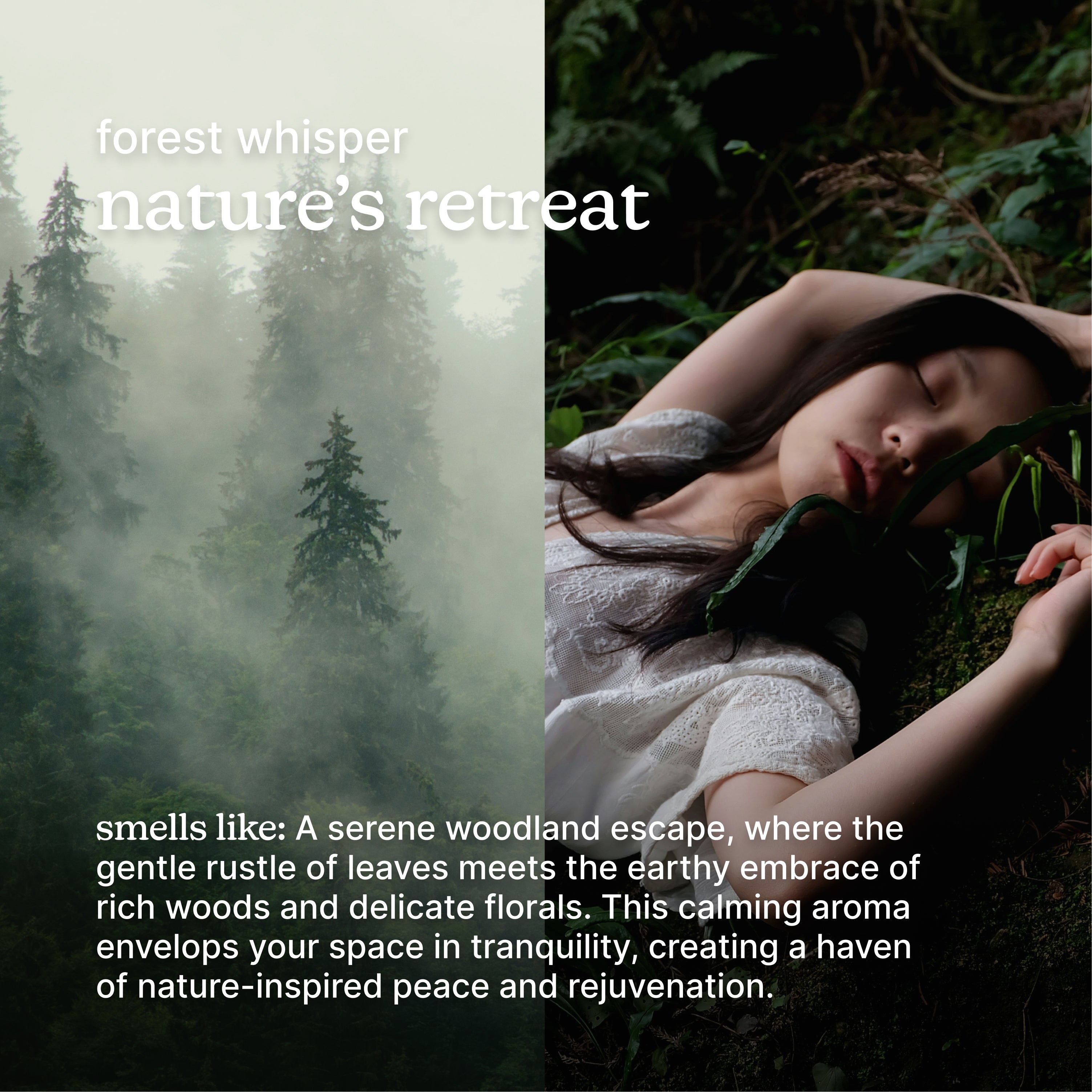 homedics-serenescent-forest-whisper-aromatherapy-blend image 3