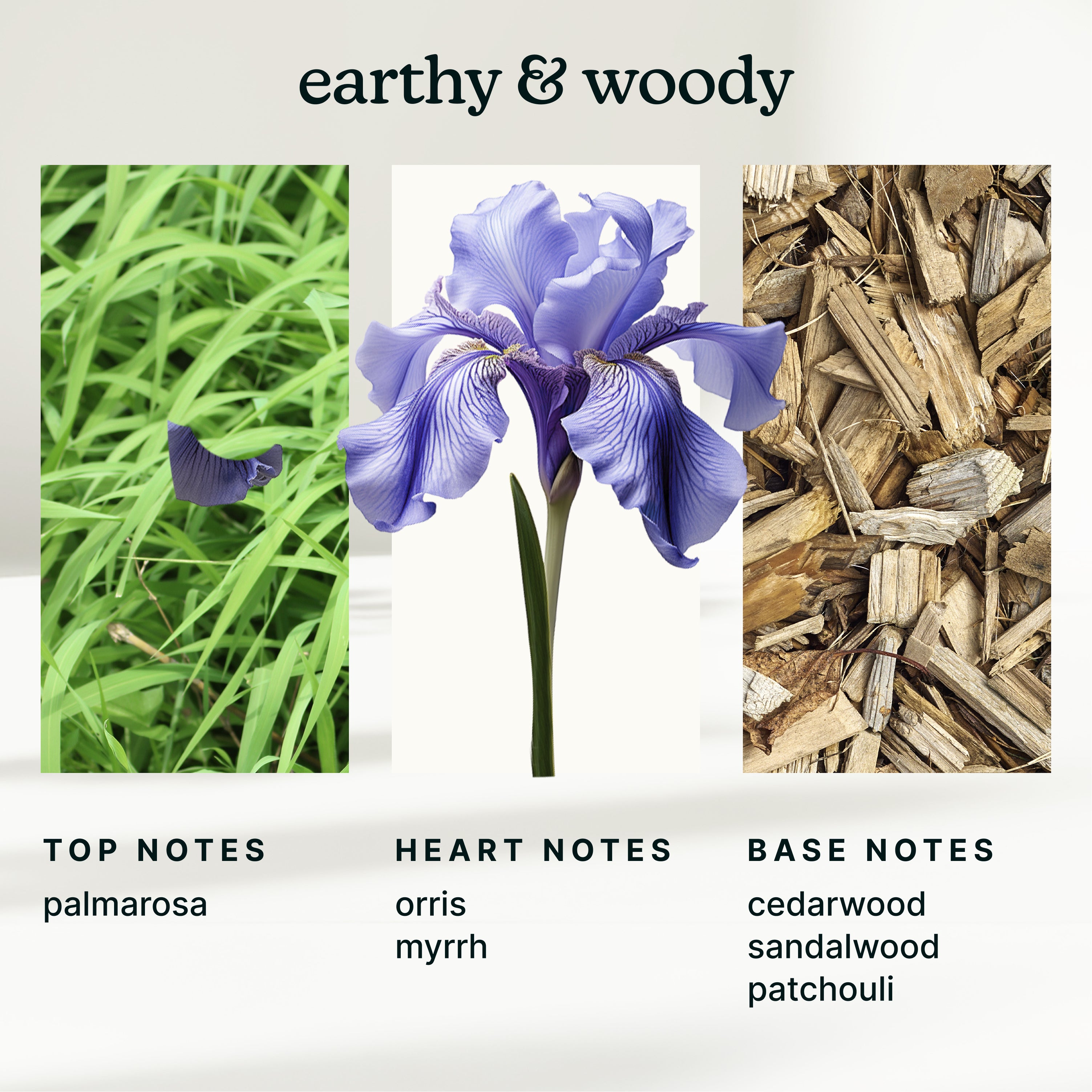 homedics-serenescent-forest-whisper-aromatherapy-blend image 4