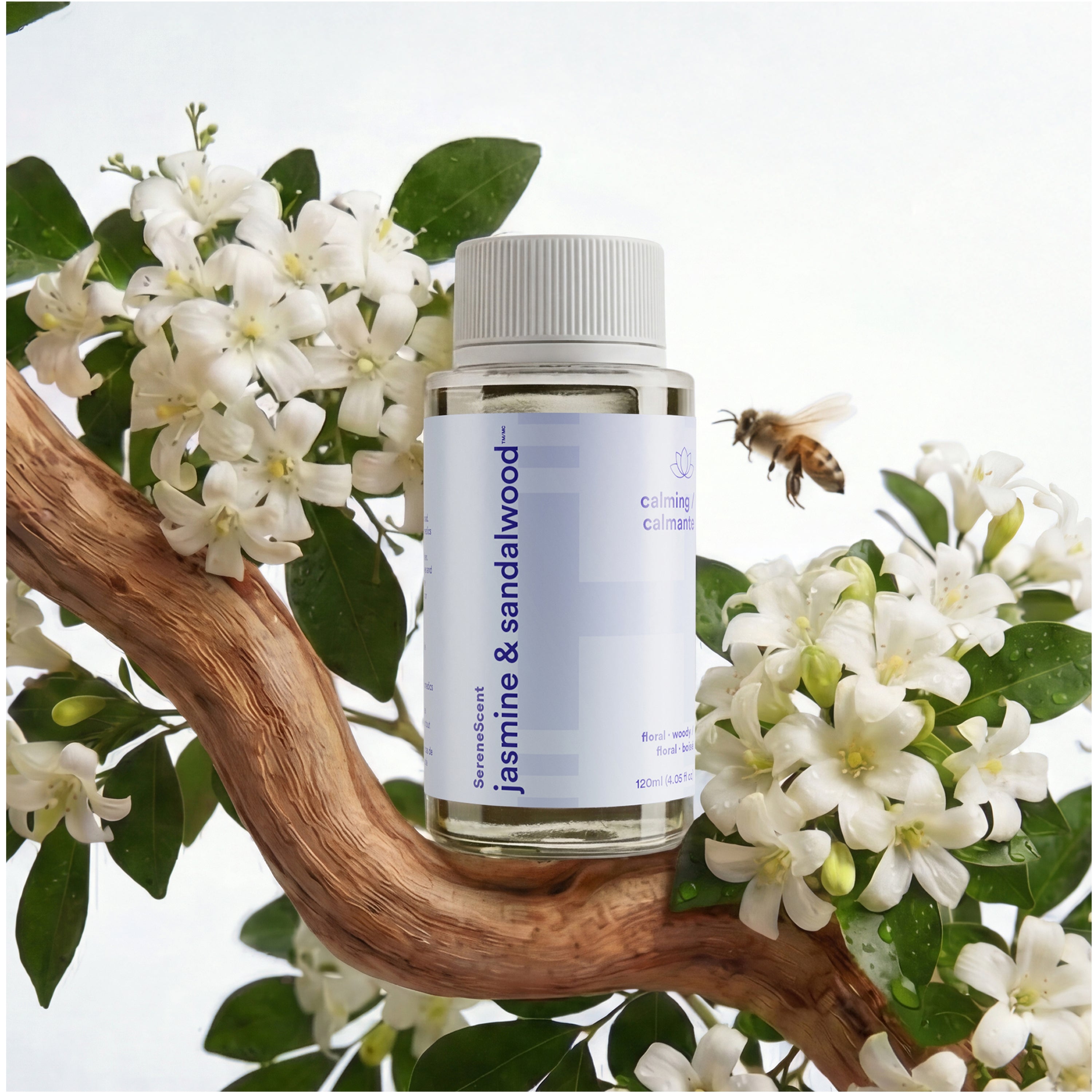 homedics-serenescent-jasmine-sandalwood-aromatherapy-diffuser-blend image 1