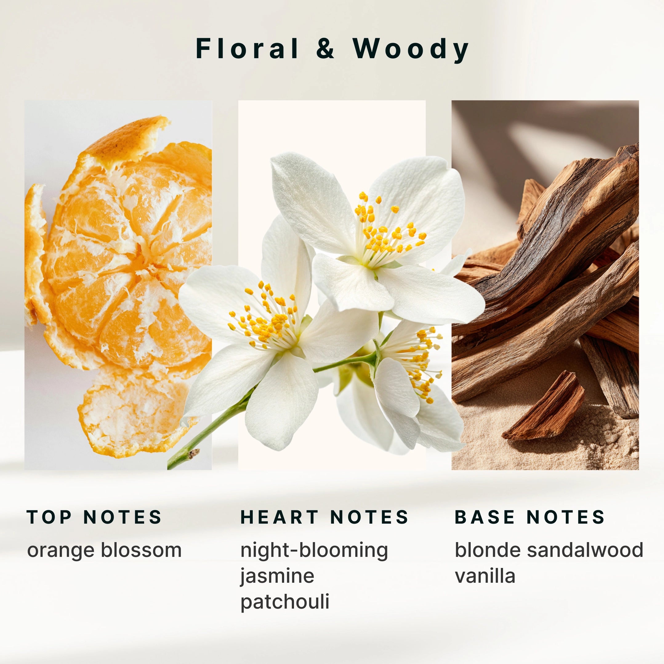 homedics-serenescent-jasmine-sandalwood-aromatherapy-diffuser-blend image 6