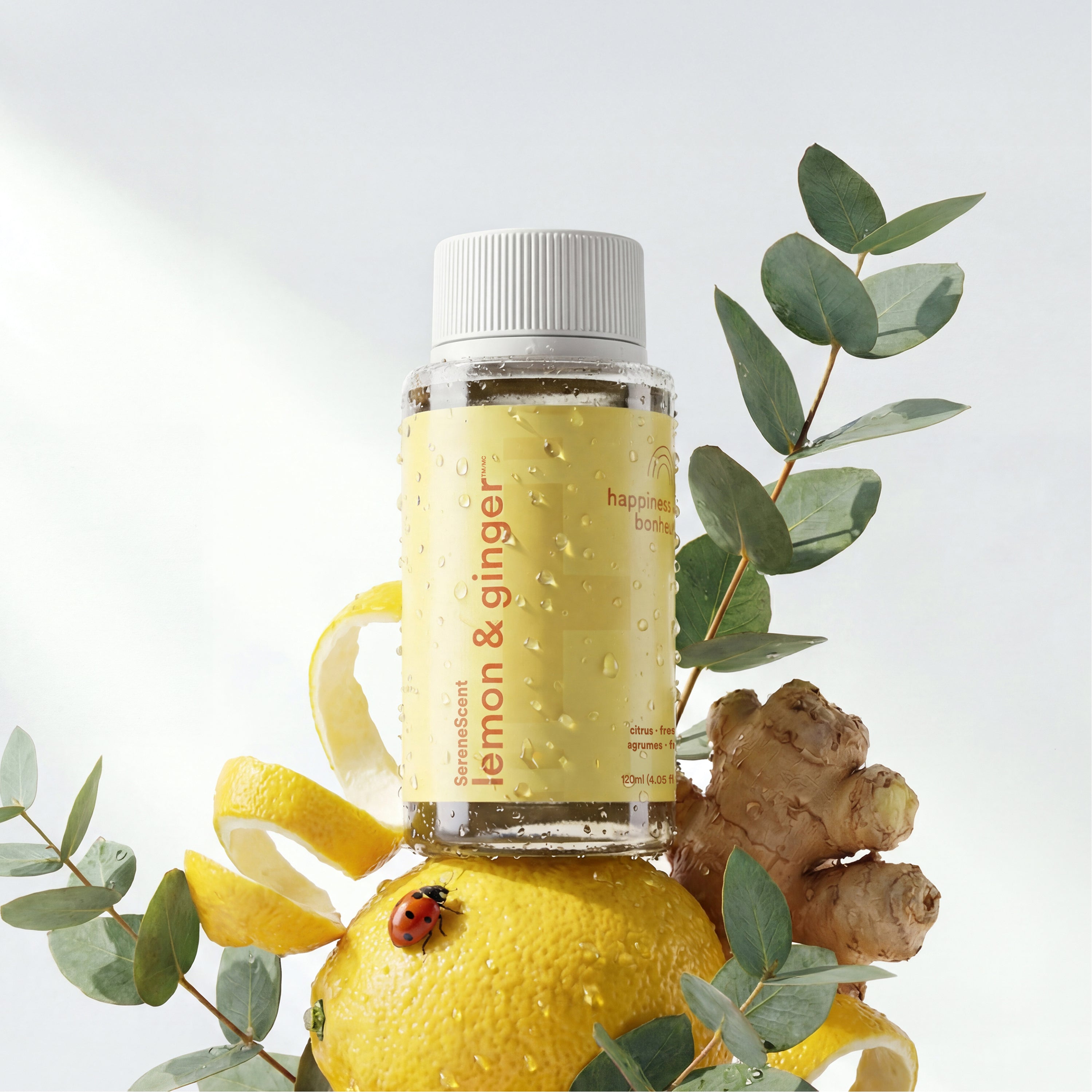 homedics-serenescent-lemon-ginger-aromatherapy-diffuser image 1