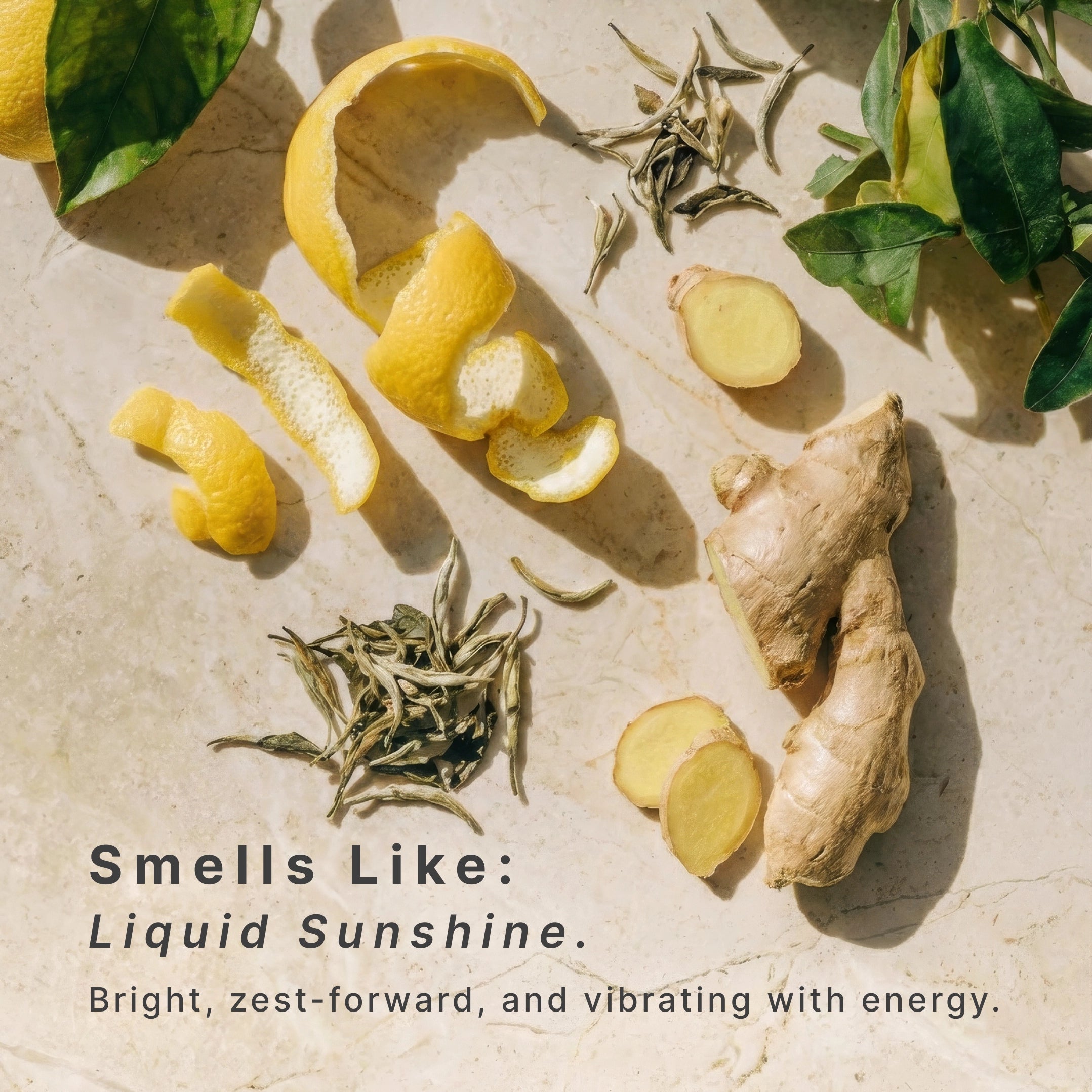 homedics-serenescent-lemon-ginger-aromatherapy-diffuser image 4