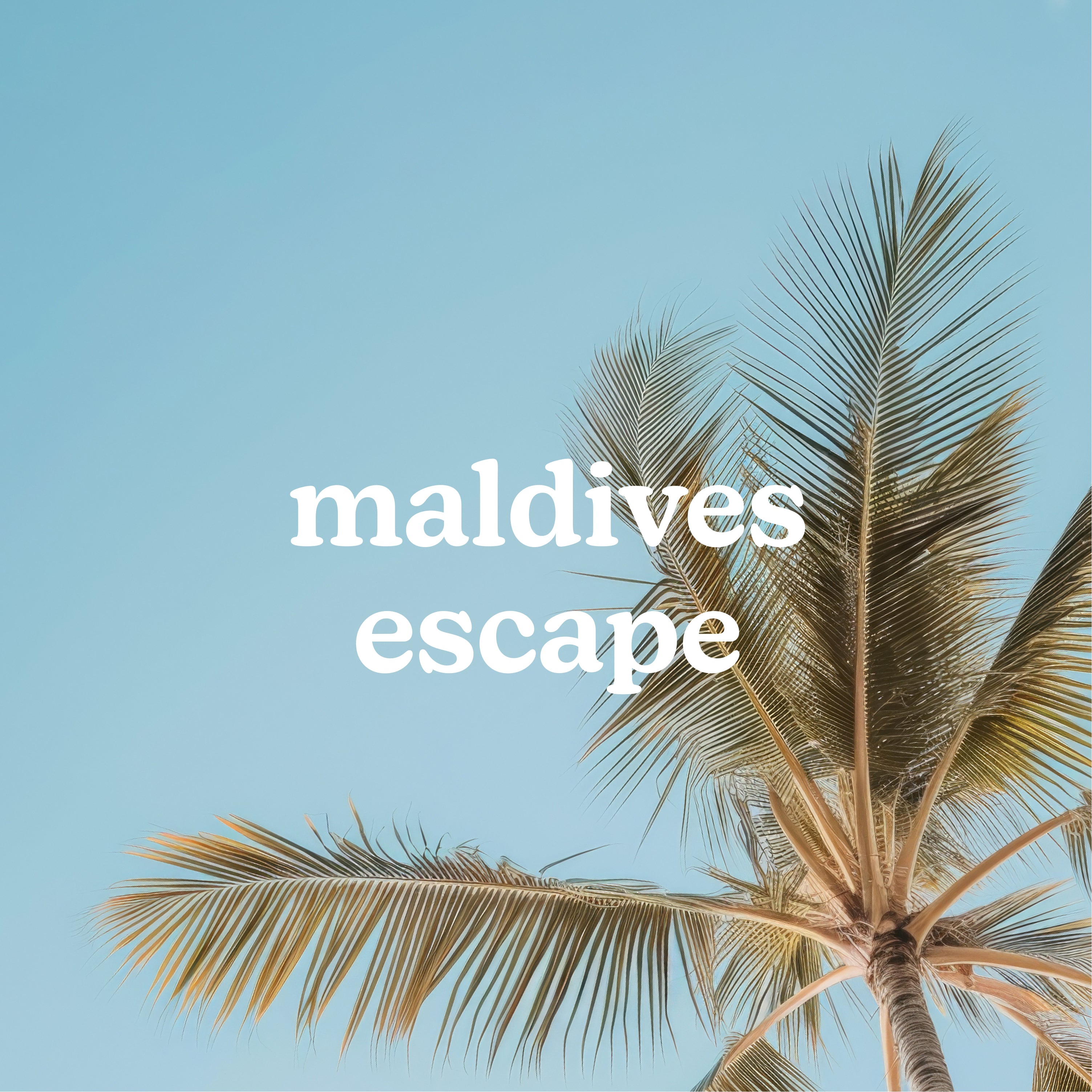 homedics-serenescent-maldives-escape-essential-oil-diffuser-blend image 2