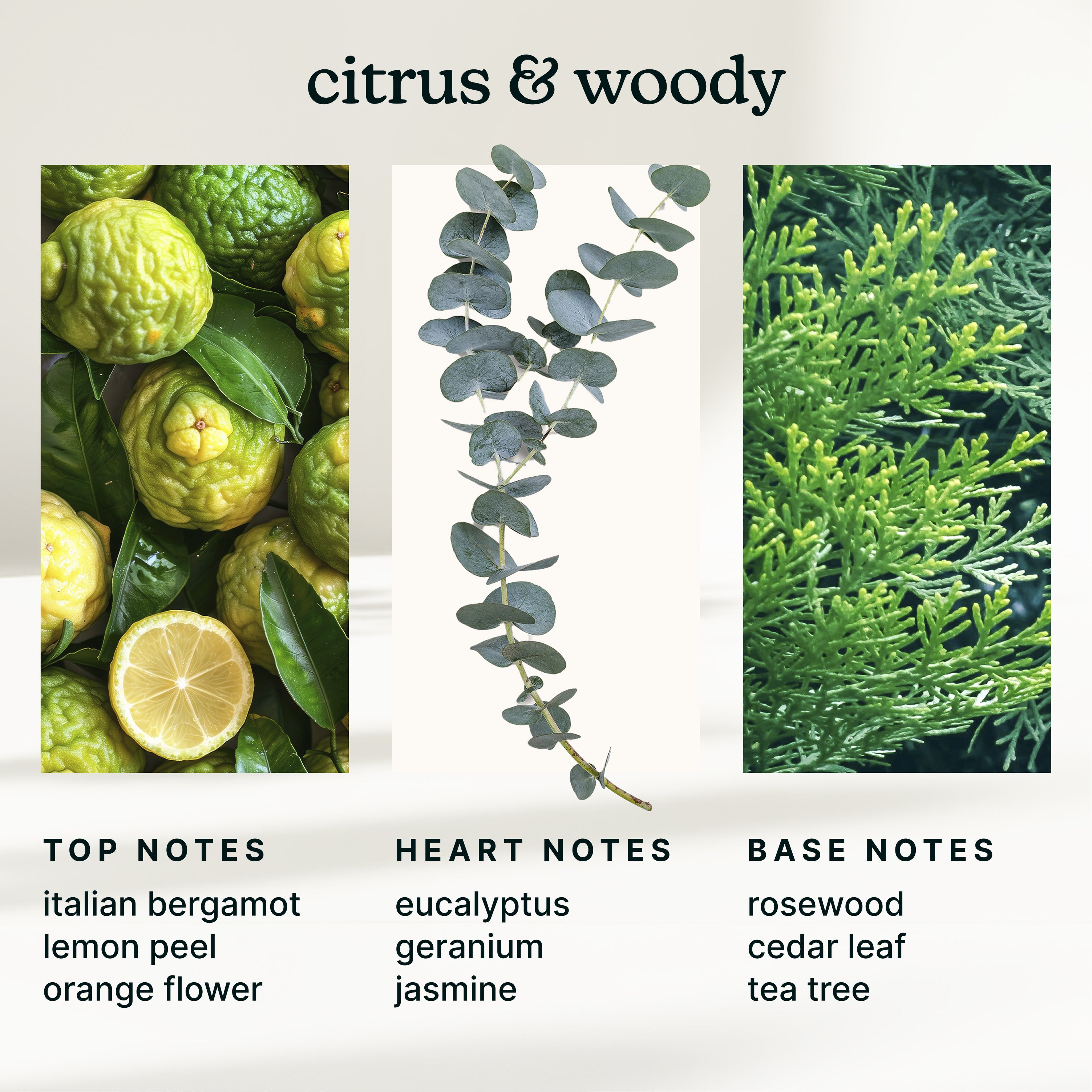 homedics-serenescent-maldives-escape-essential-oil-diffuser-blend image 4