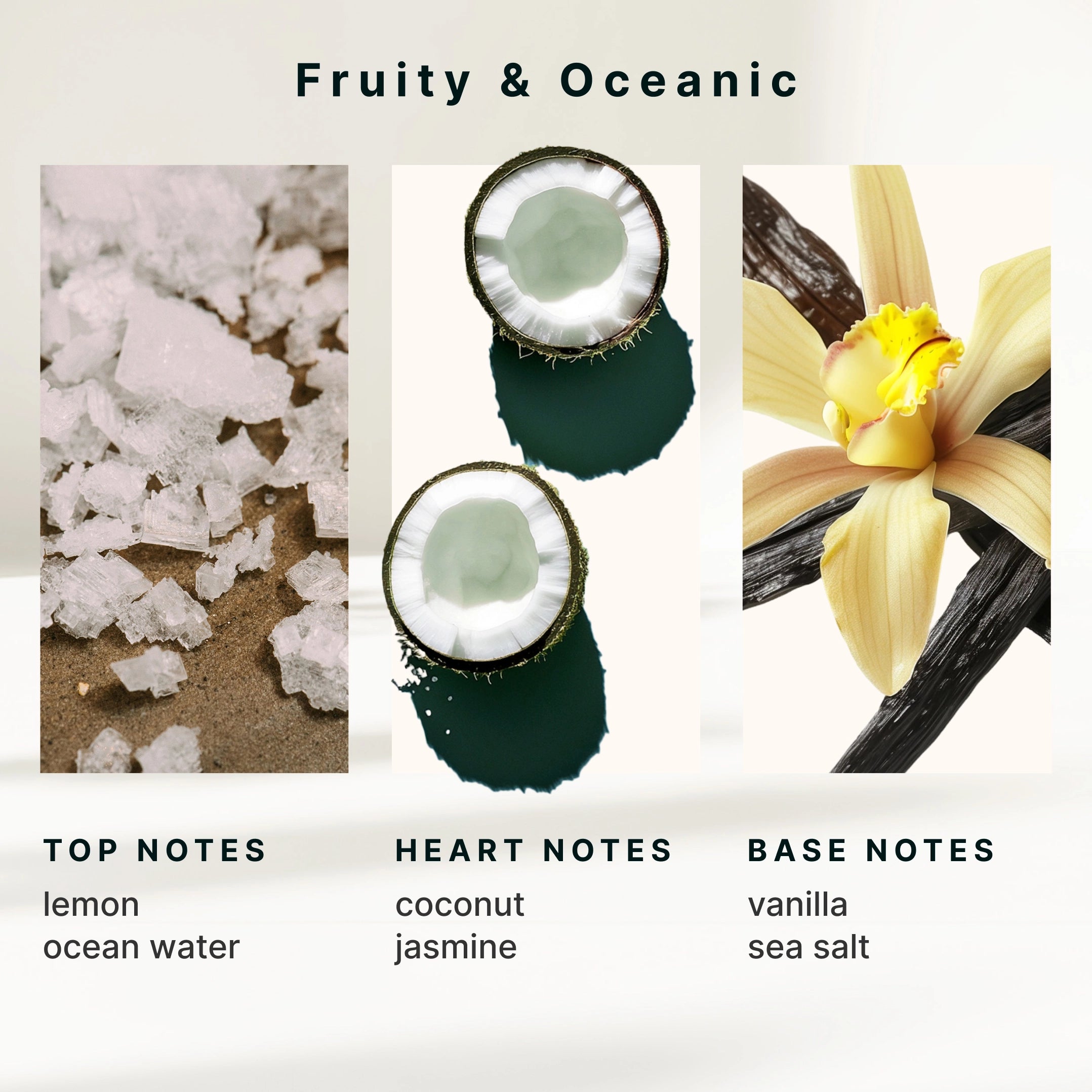 homedics-serenescent-sea-salt-coconut-fragrance-120ml image 6