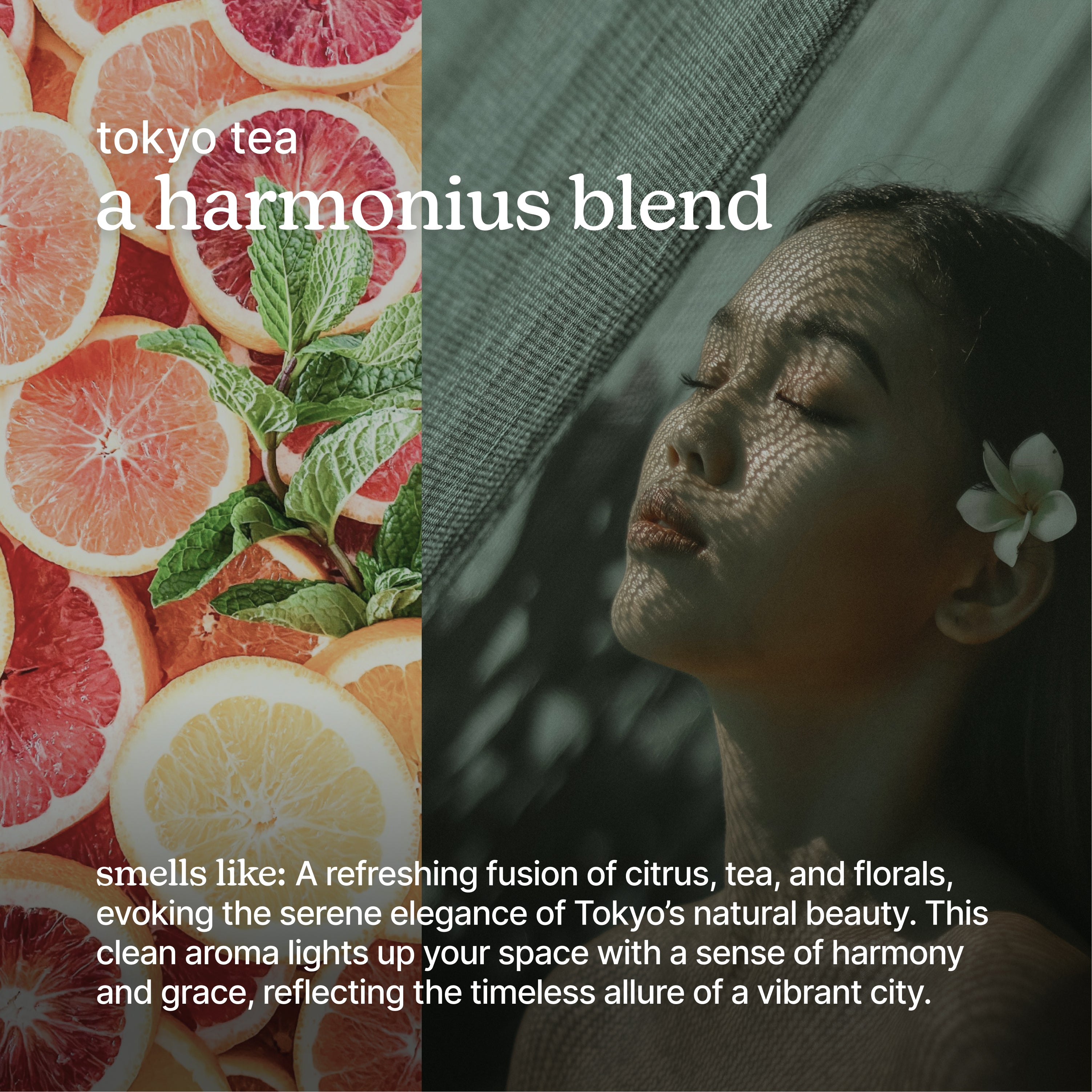 homedics-serenescent-tokyo-tea-essential-oil image 3