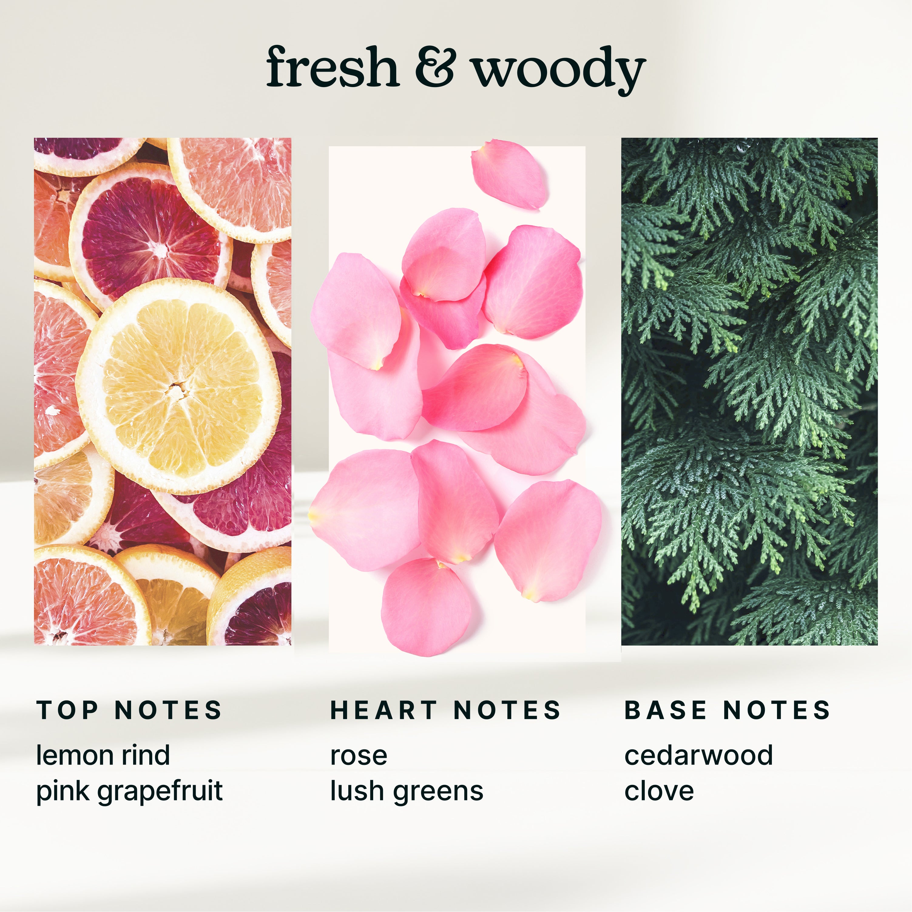 homedics-serenescent-tokyo-tea-essential-oil image 4
