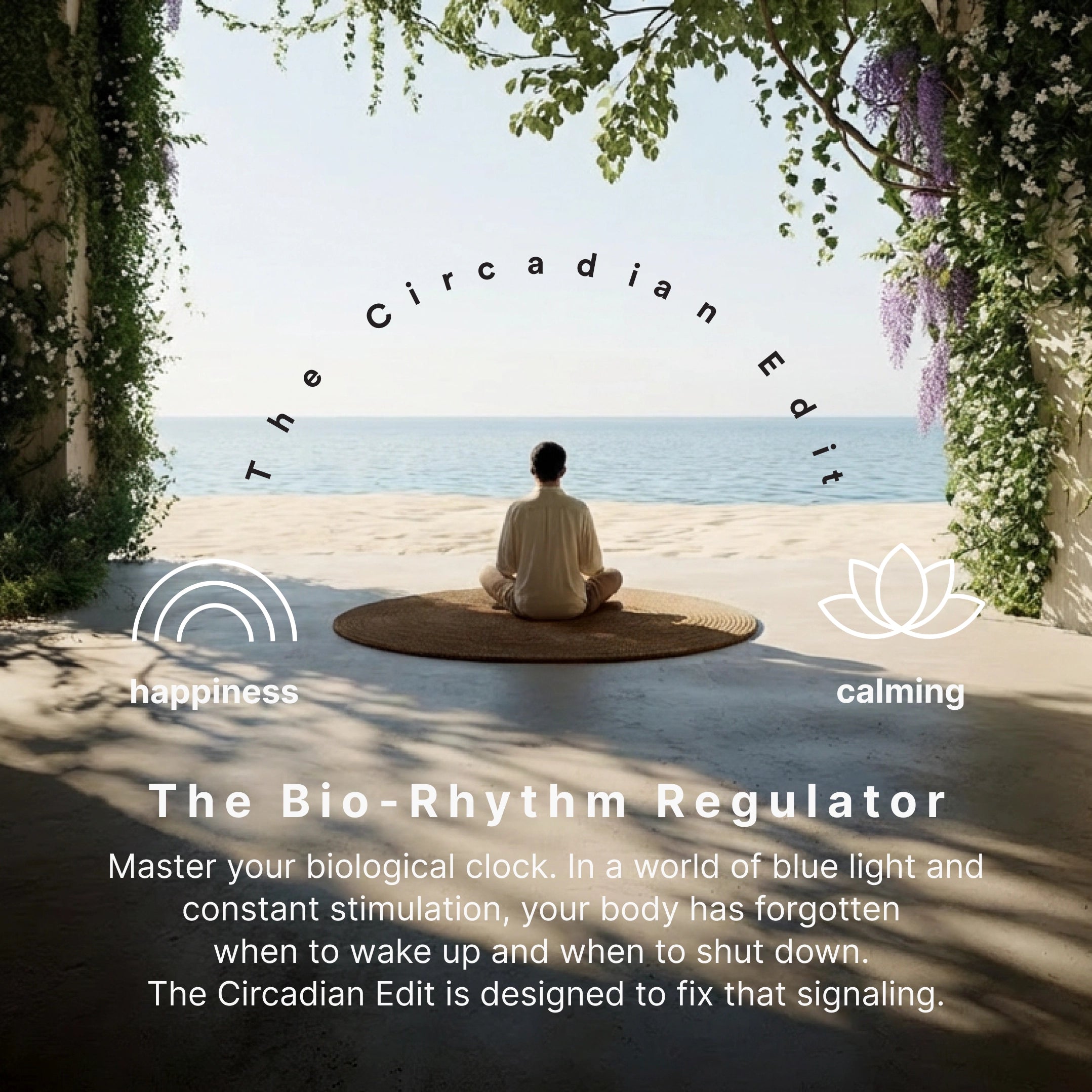 homedics-the-circadian-edit-essential-oil-duo-lemon-ginger-lavender-chamomile image 3