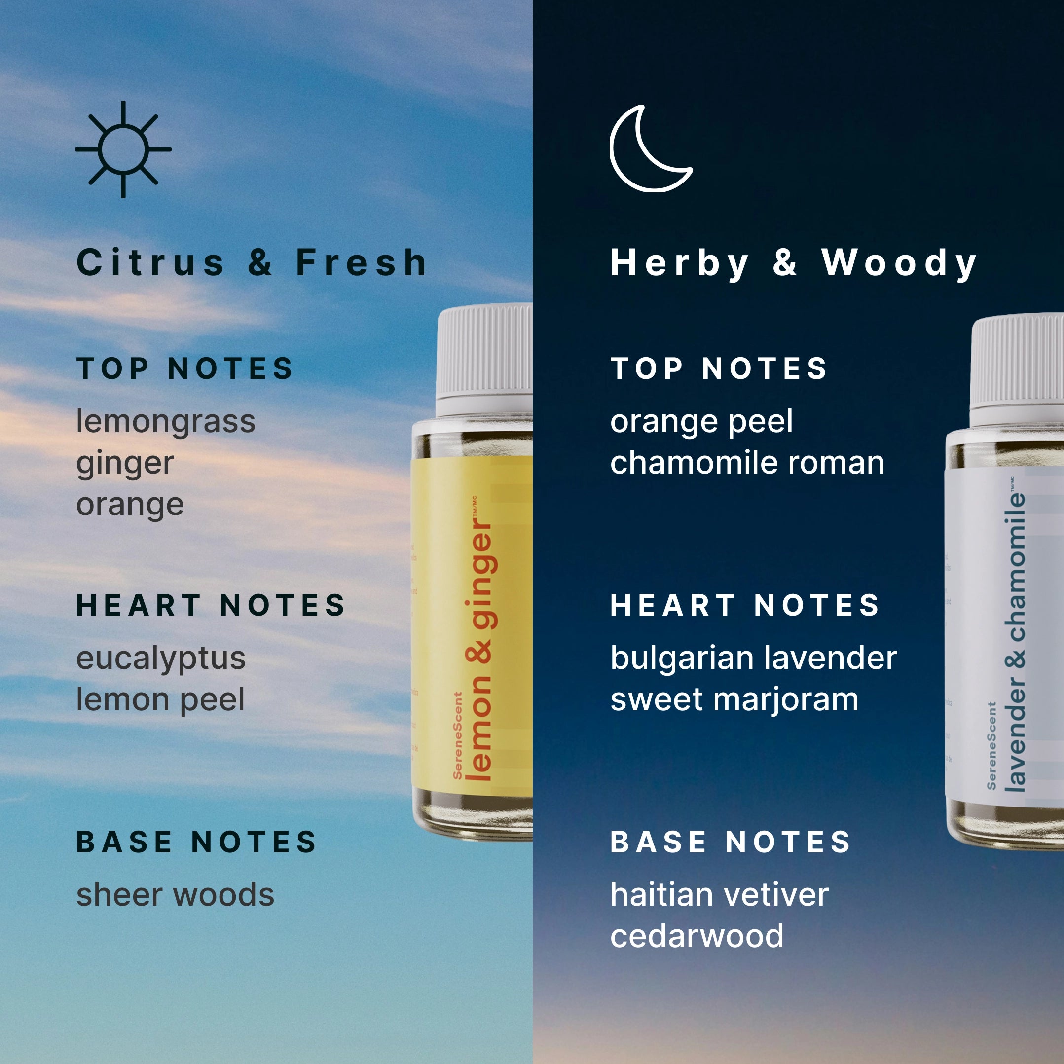 homedics-the-circadian-edit-essential-oil-duo-lemon-ginger-lavender-chamomile image 4