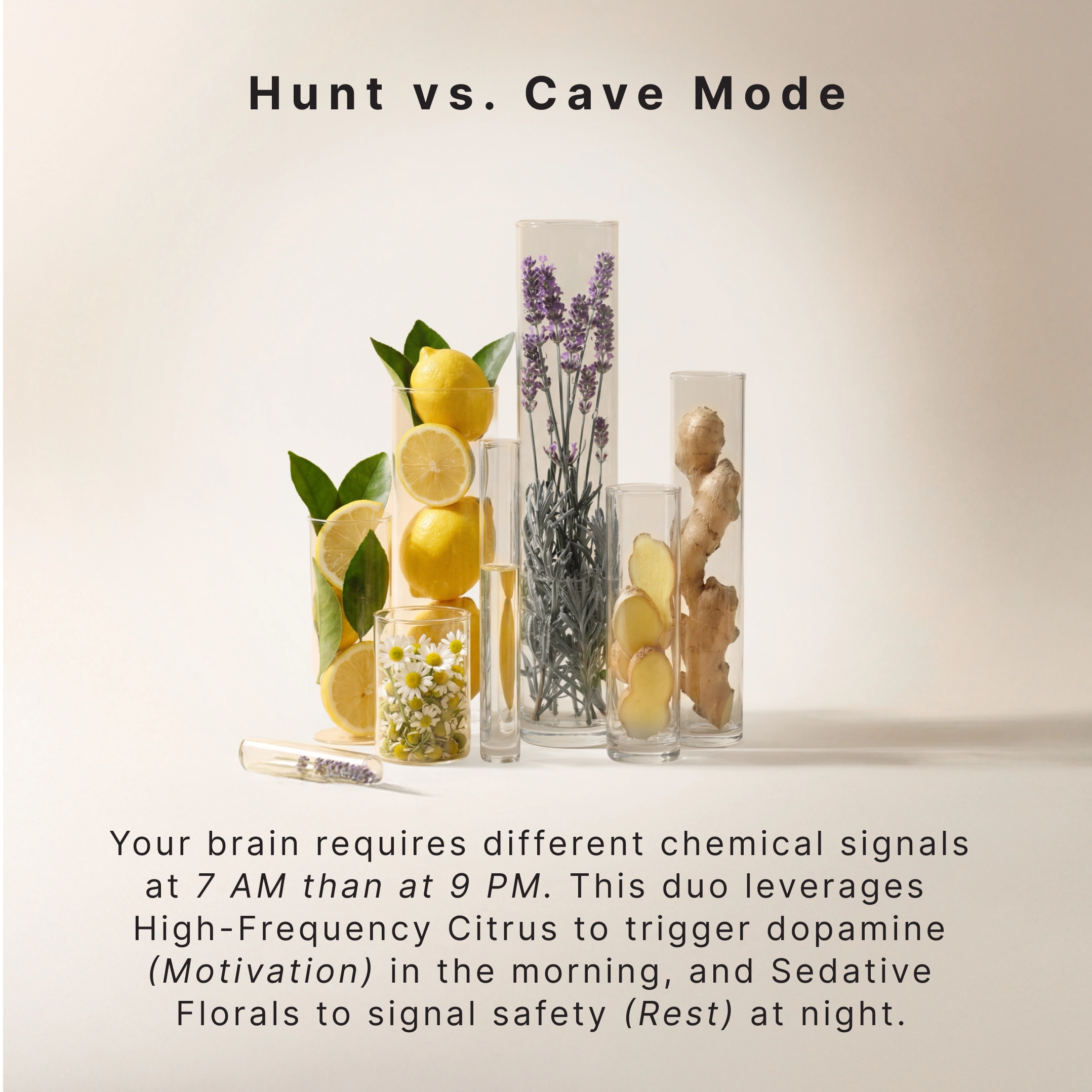 homedics-the-circadian-edit-essential-oil-duo-lemon-ginger-lavender-chamomile image 5