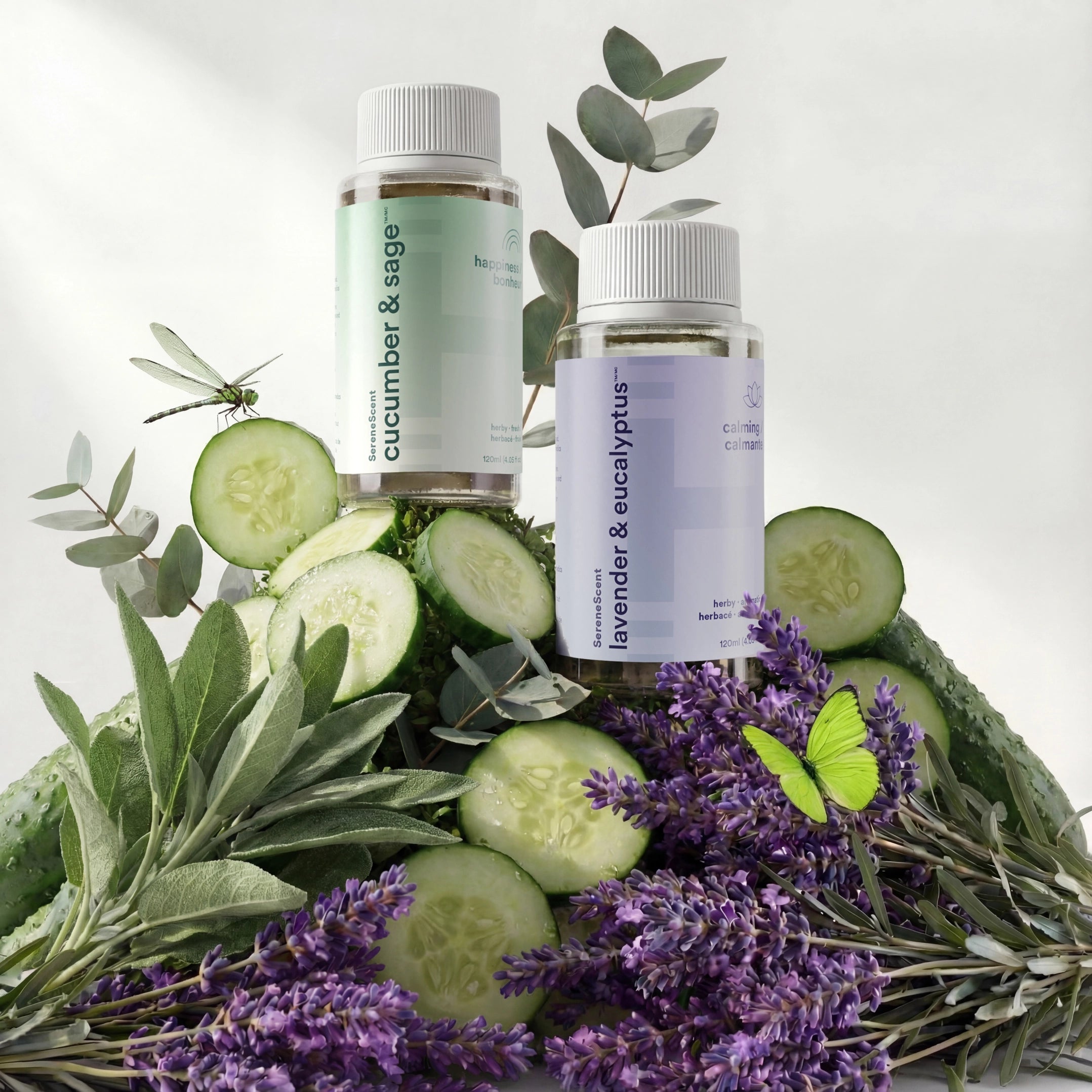 homedics-the-clarity-kit-essential-oil-duo-cucumber-sage-lavender-eucalyptus image 1