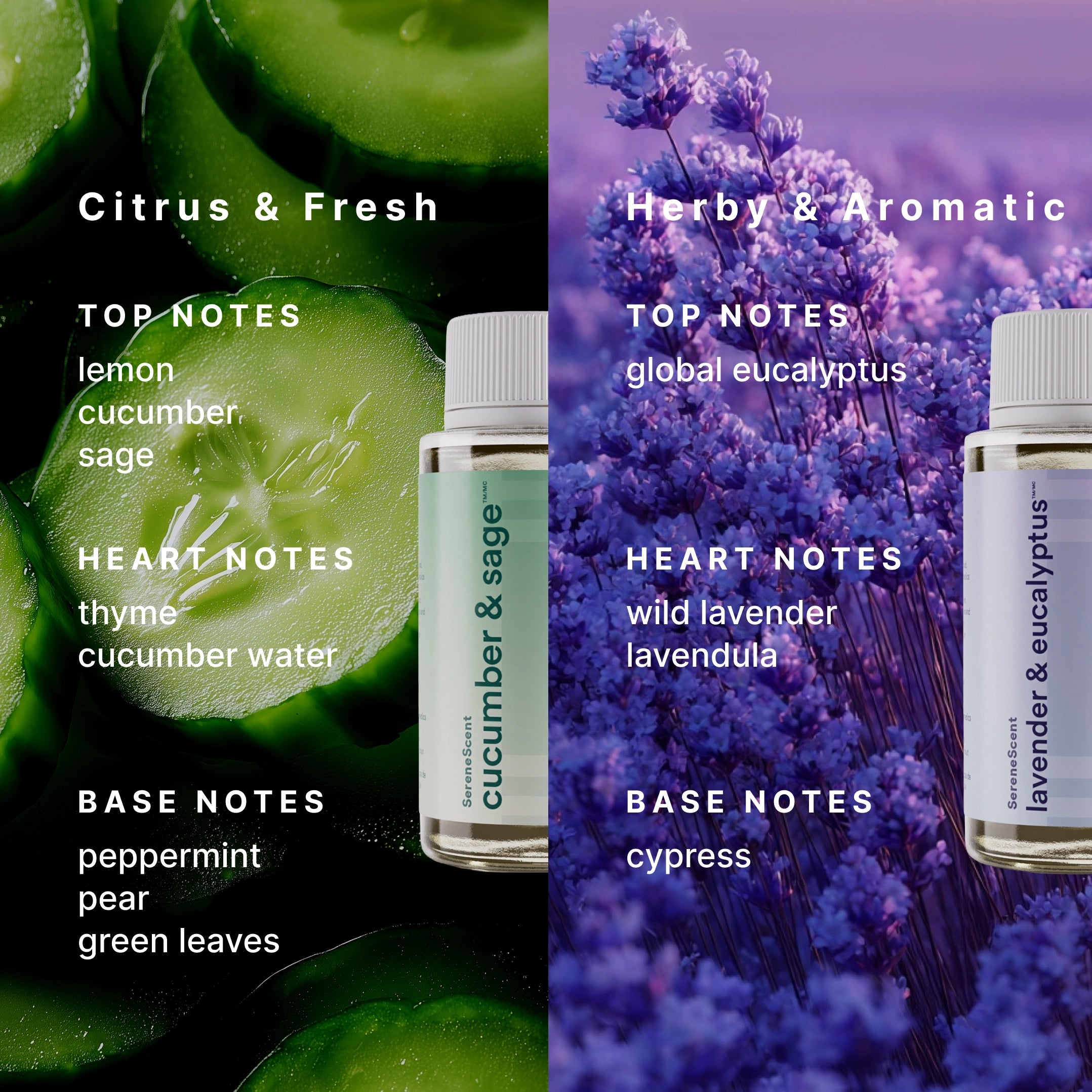 homedics-the-clarity-kit-essential-oil-duo-cucumber-sage-lavender-eucalyptus image 4