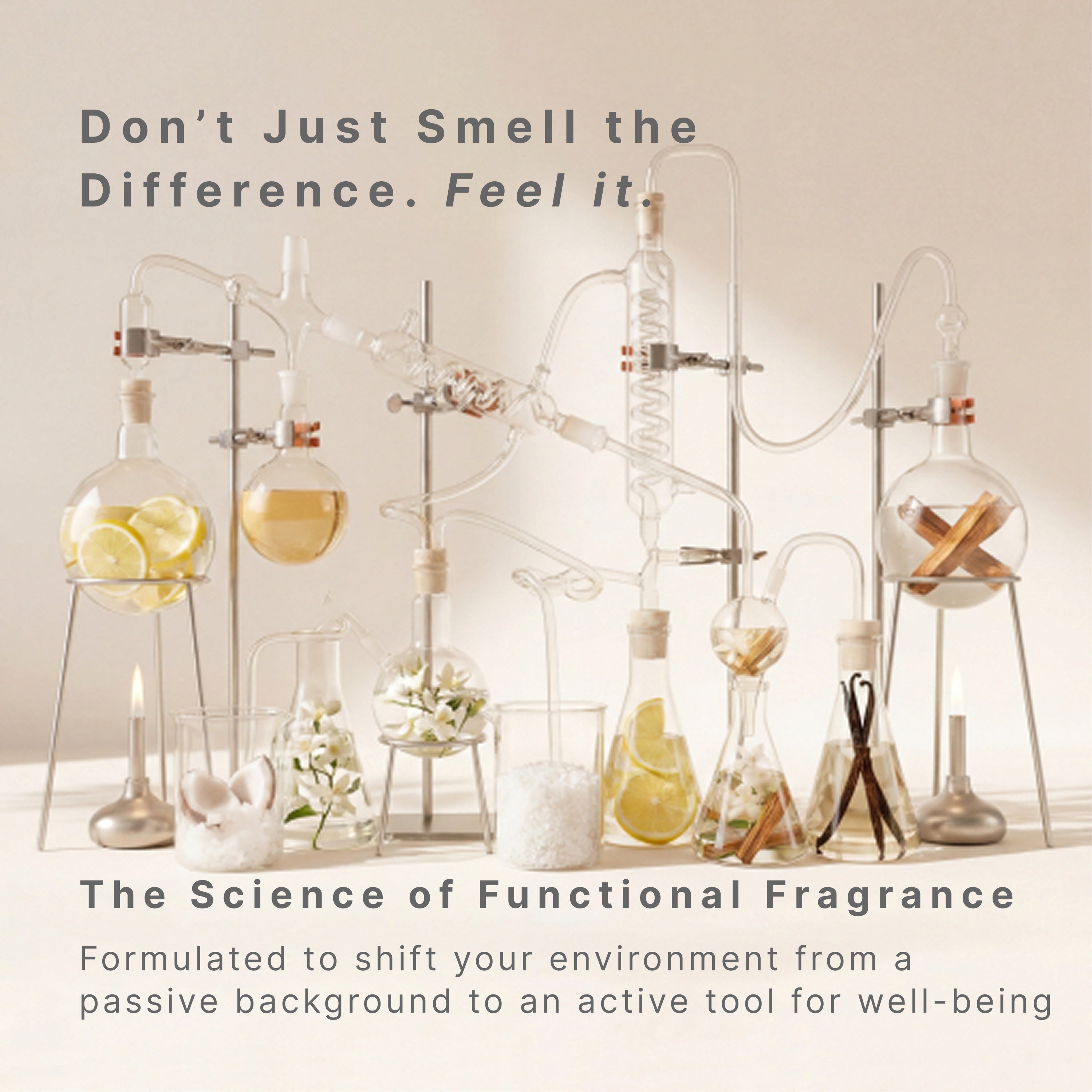 homedics-the-sanctuary-system-with-2-essential-oil-blends image 2