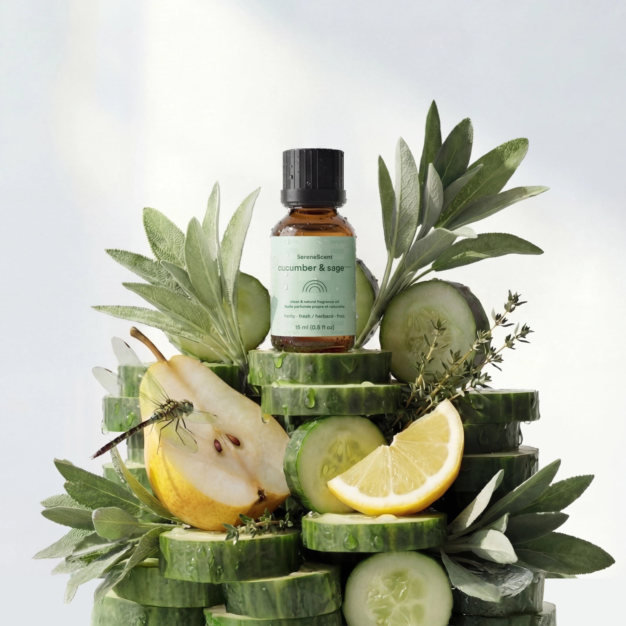 homedics-serenescent-cucumber-sage-essential-oil-blend-15ml image 1
