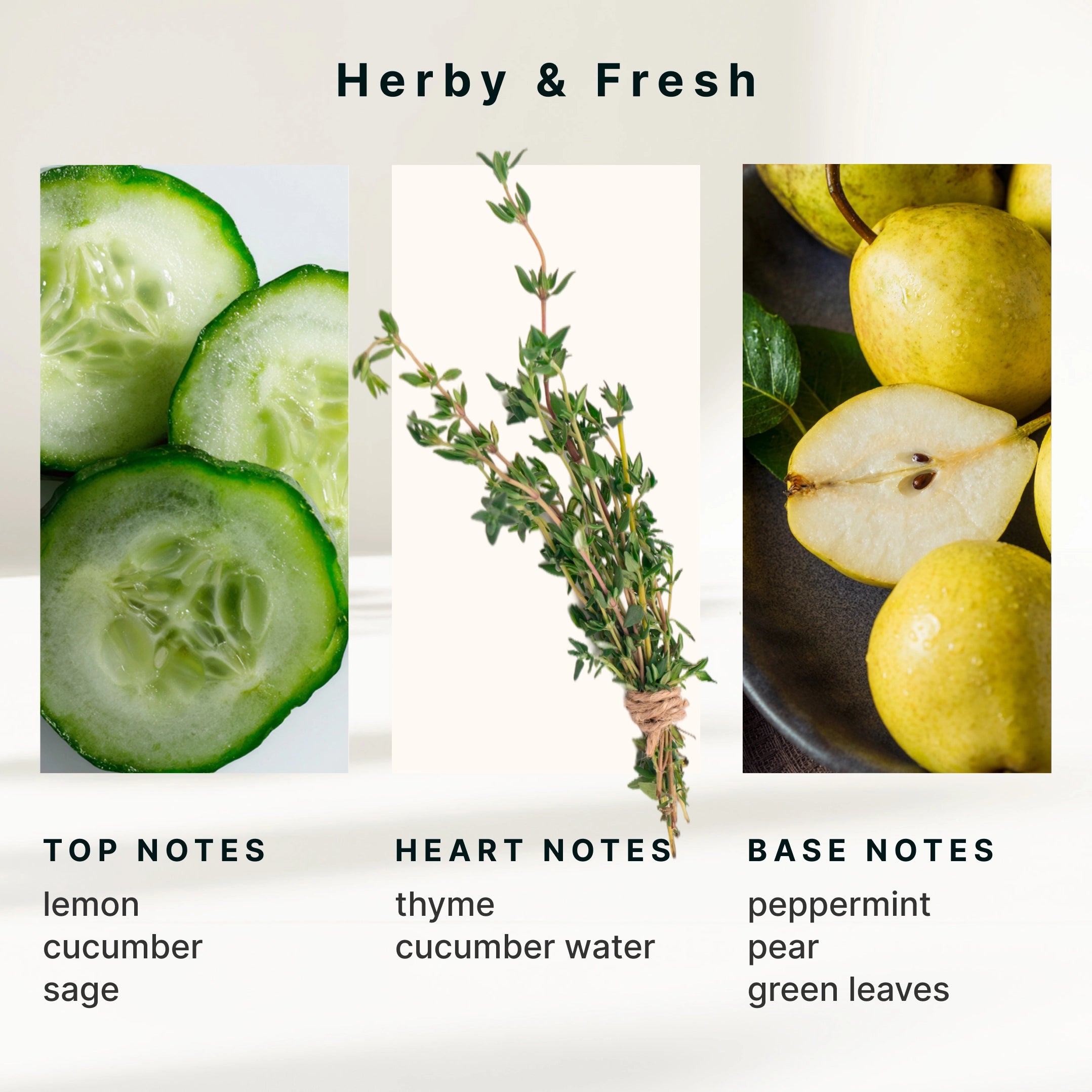 homedics-serenescent-cucumber-sage-essential-oil-blend-15ml image 6