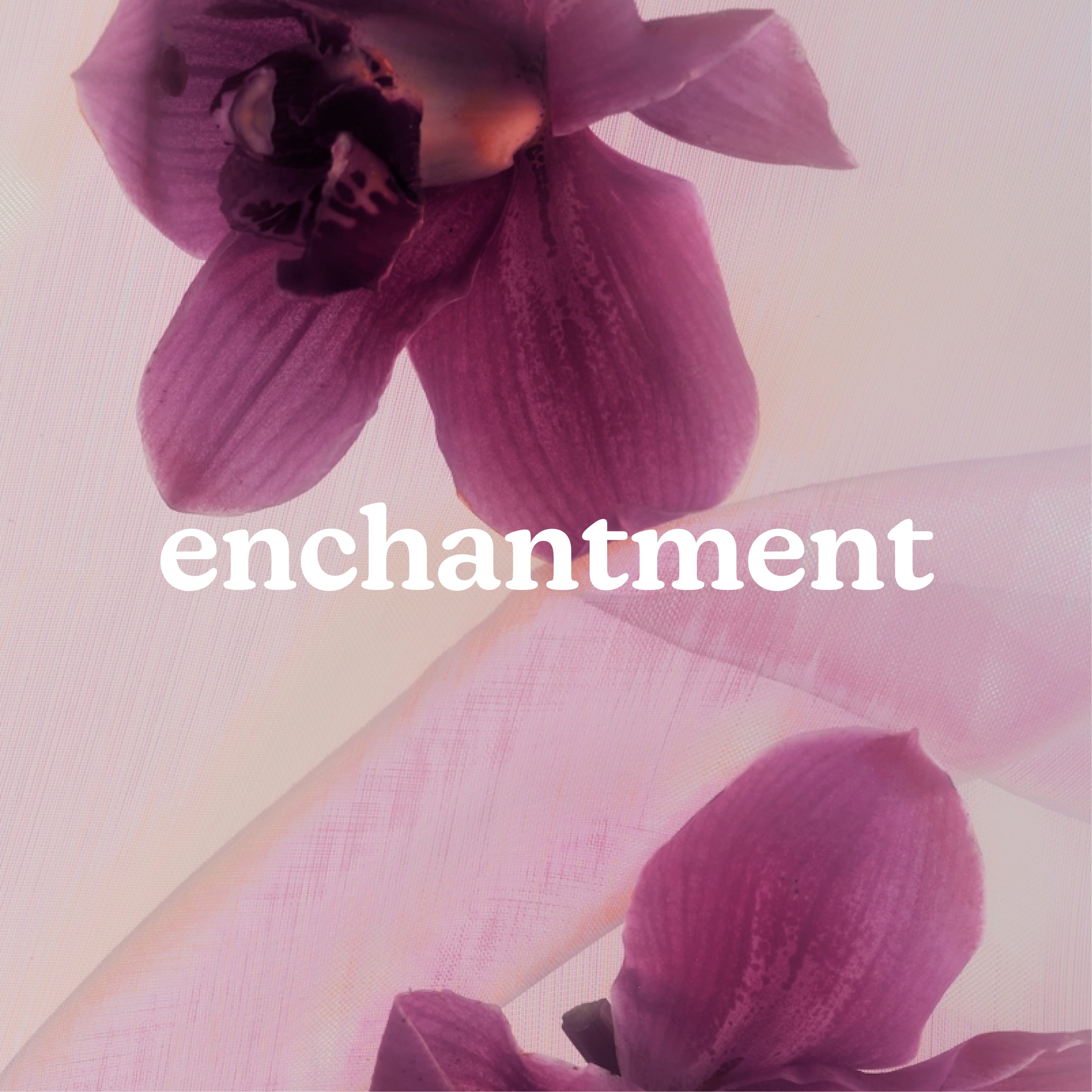 homedics-serenescent-enchantment-aromatherapy-oil-15ml image 2