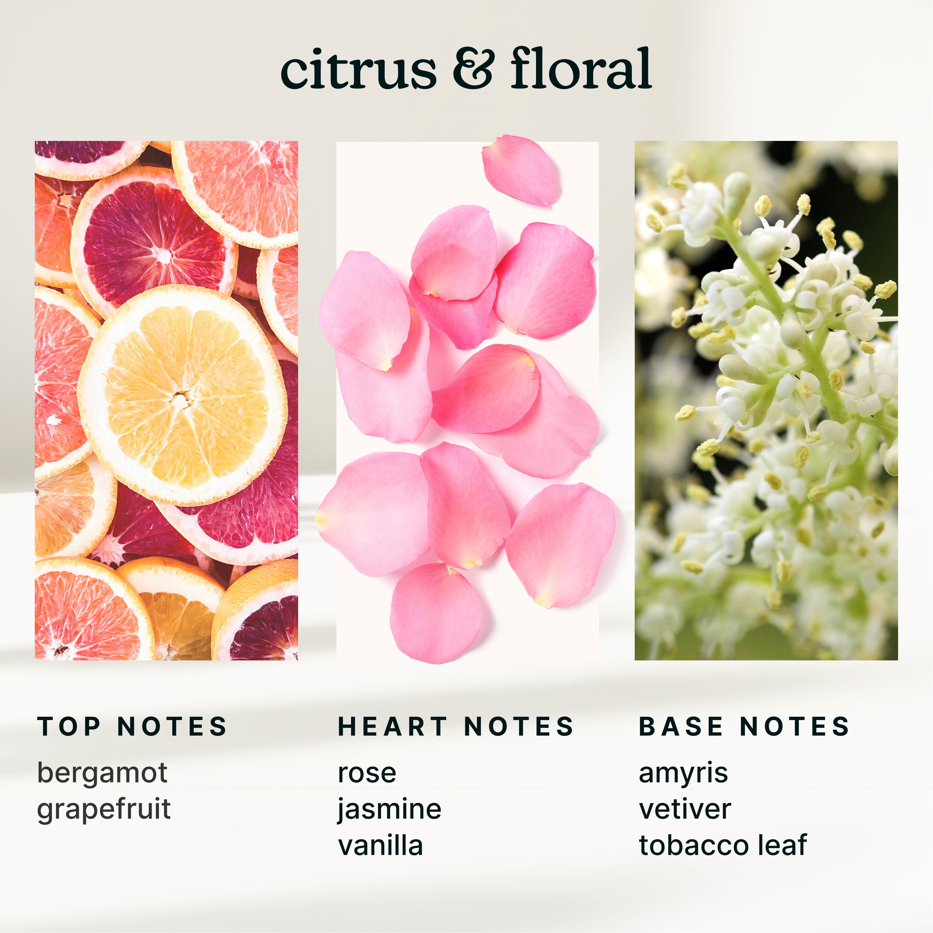 homedics-serenescent-enchantment-aromatherapy-oil-15ml image 4