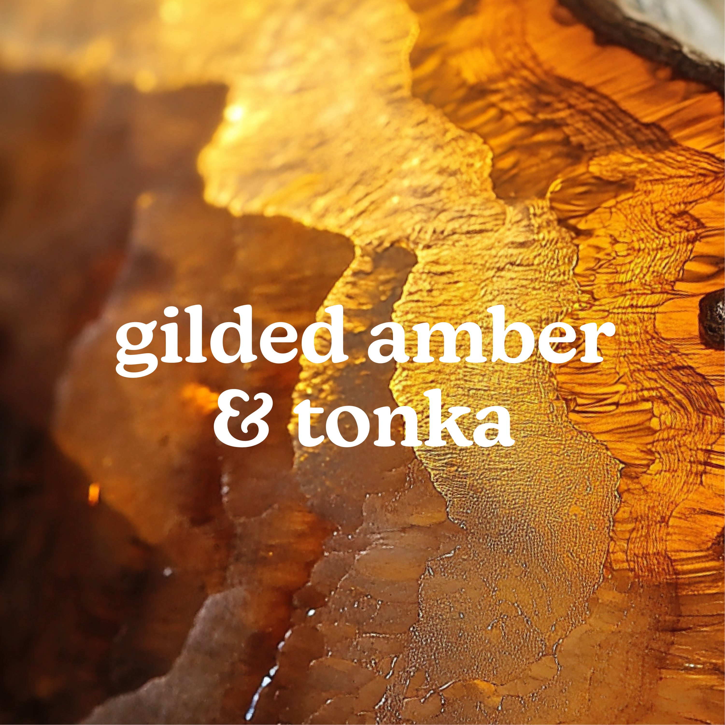 homedics-serenescent-gilded-amber-tonka-aromatherapy-oil image 2