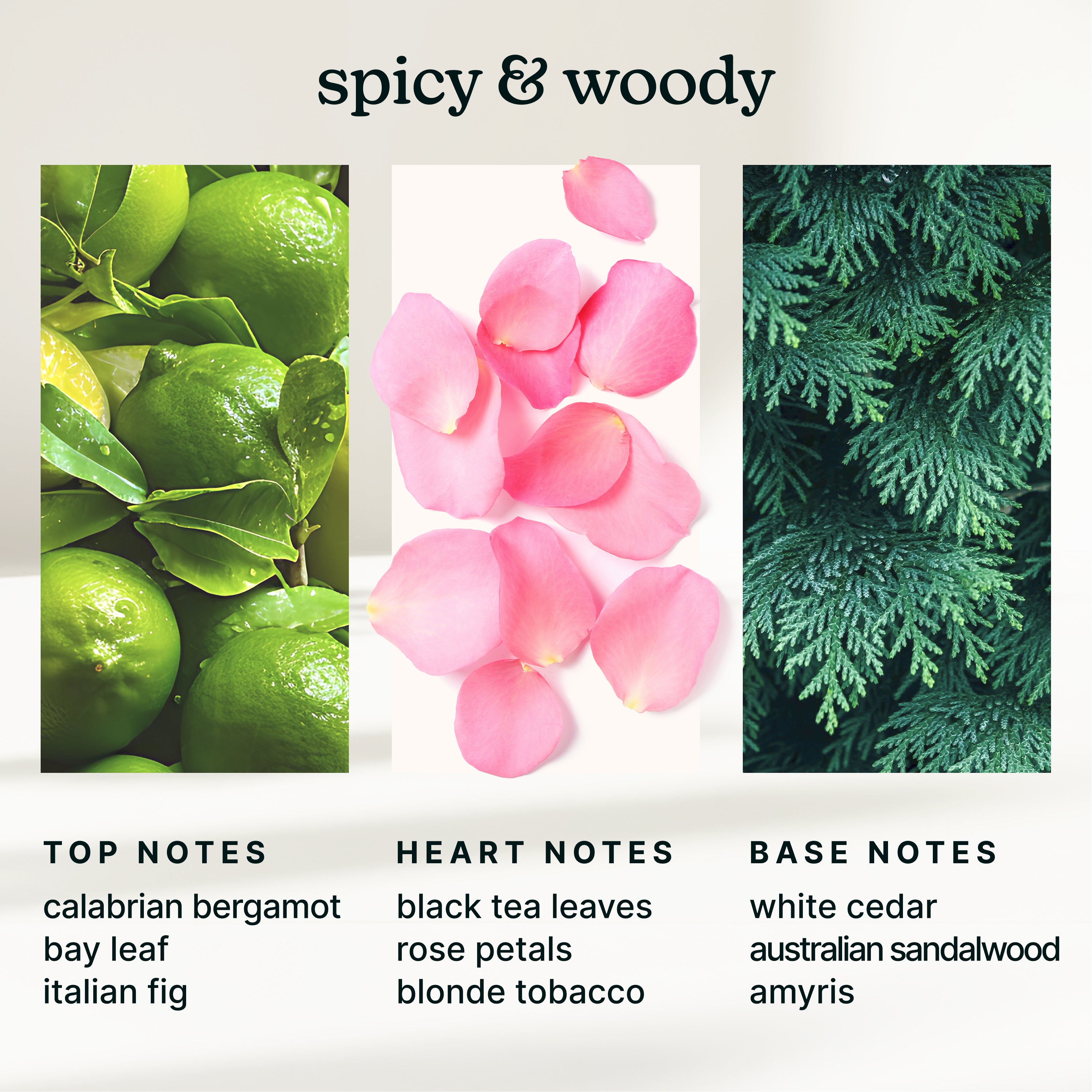 homedics-serenescent-parisian-affair-aromatherapy-oil-15ml image 4