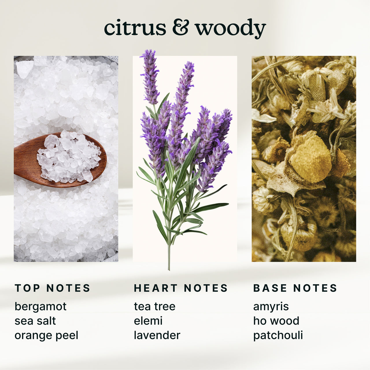 homedics-serenescent-white-sage-moss-15ml-fragrance-oil-fresh-botanical-blend image 4