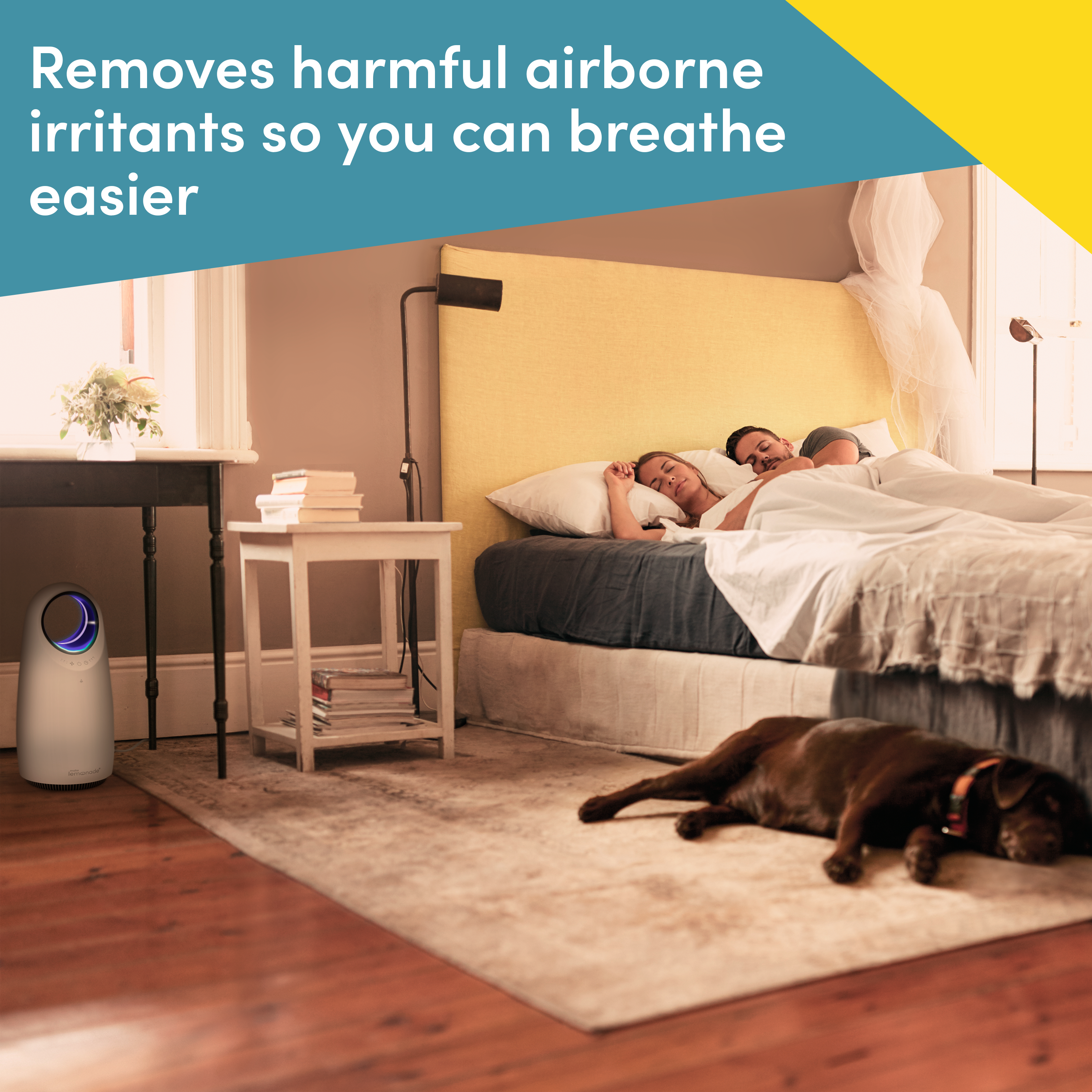 homedics-make-lemonade-halo-air-purifier image 5