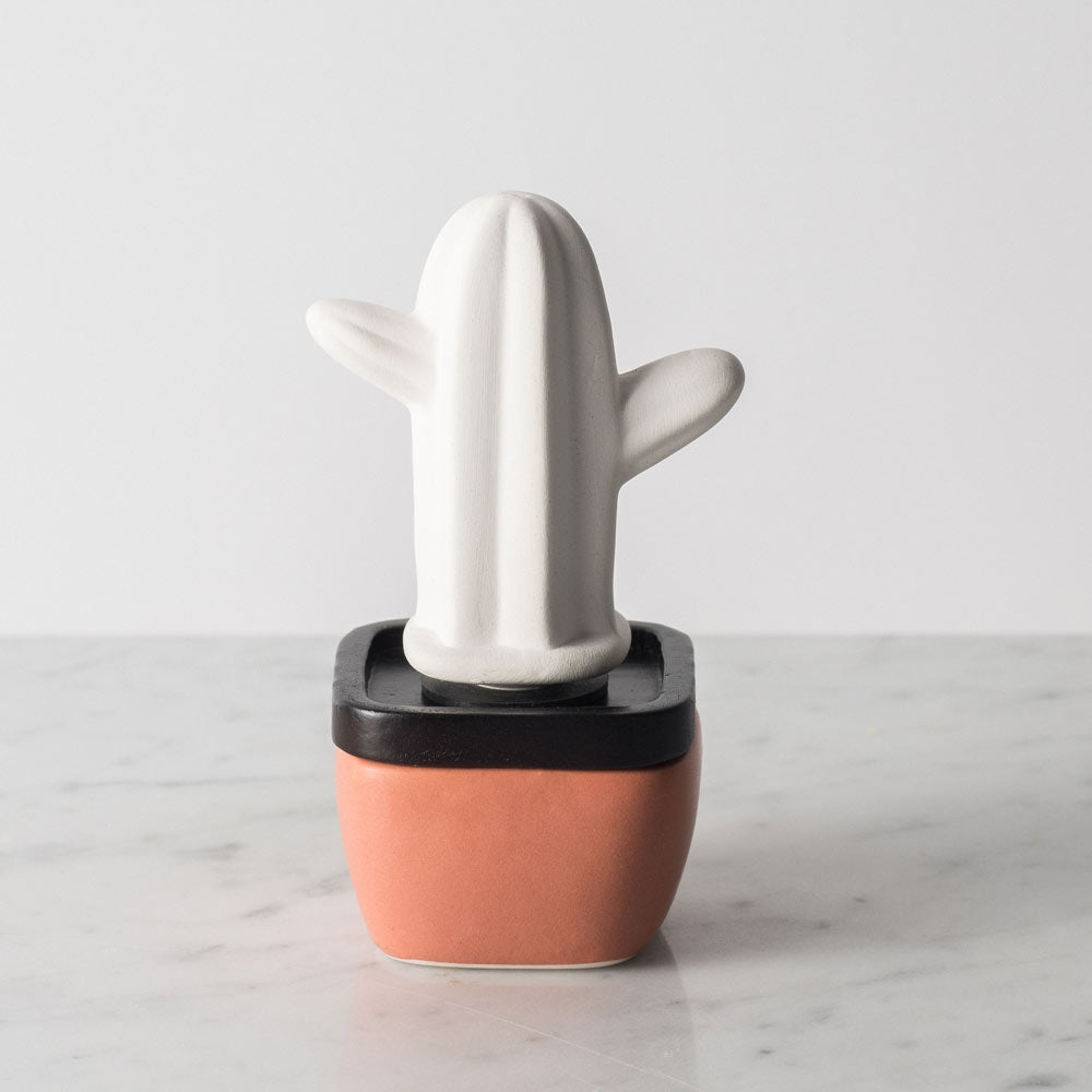 homedics-coastal-cactus-porcelain-aroma-diffuser image 1