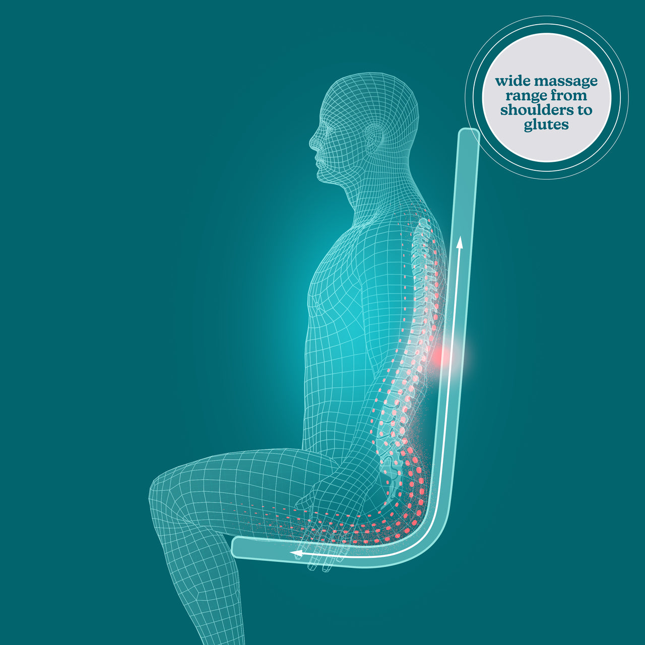 homedics-shiatsuflex-massage-cushion image 3